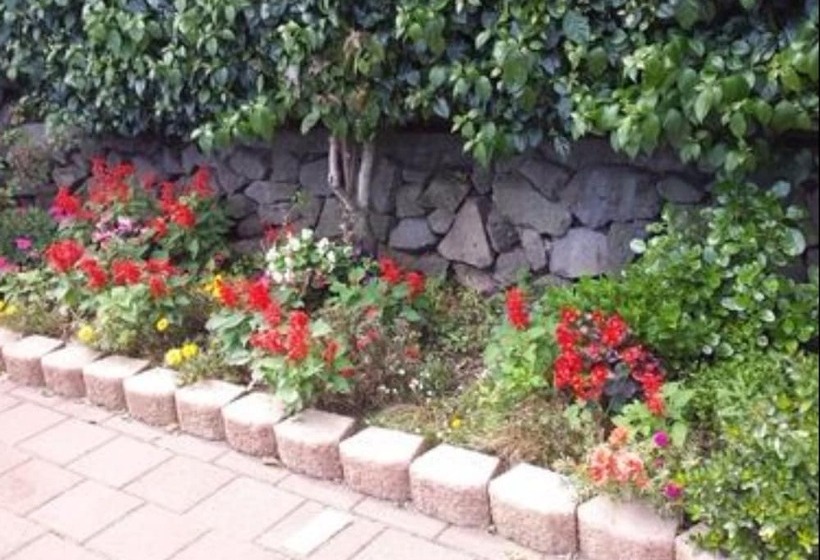 Boatshed Motel Apartments