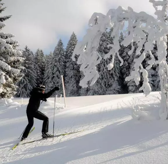 Hotel De La Truite & Spa Le Petit Nautilus