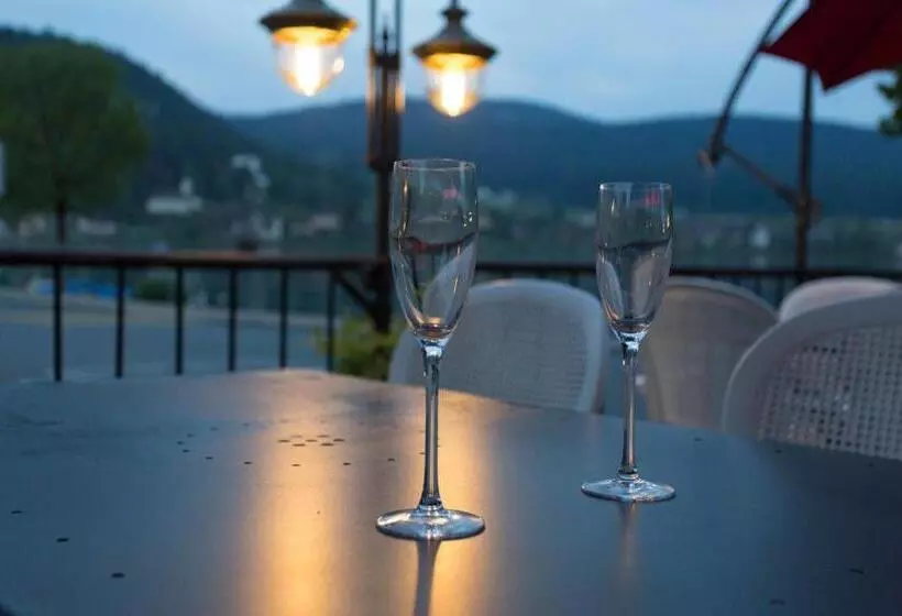 Hotel De La Truite & Spa Le Petit Nautilus