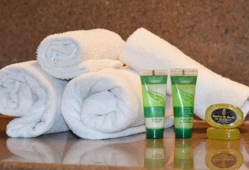 Hotel Grandeur De Sanchi Luxury Beach Resort & Spa