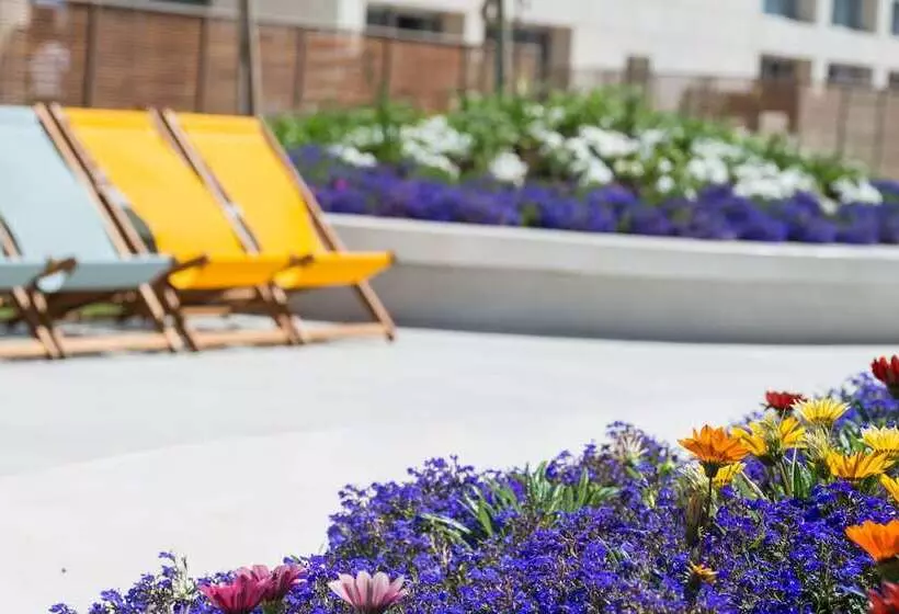 酒店 Herods Herzliya