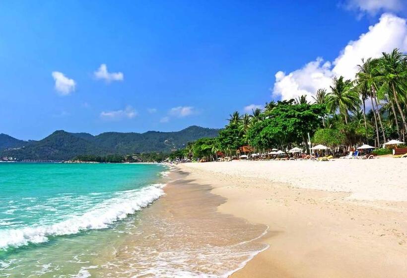 هتل Lotus Friendly