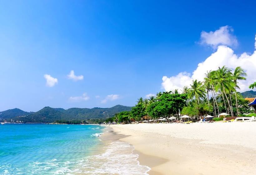 هتل Lotus Friendly