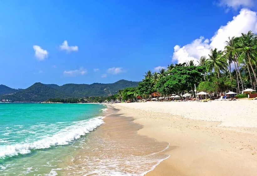 هتل Lotus Friendly