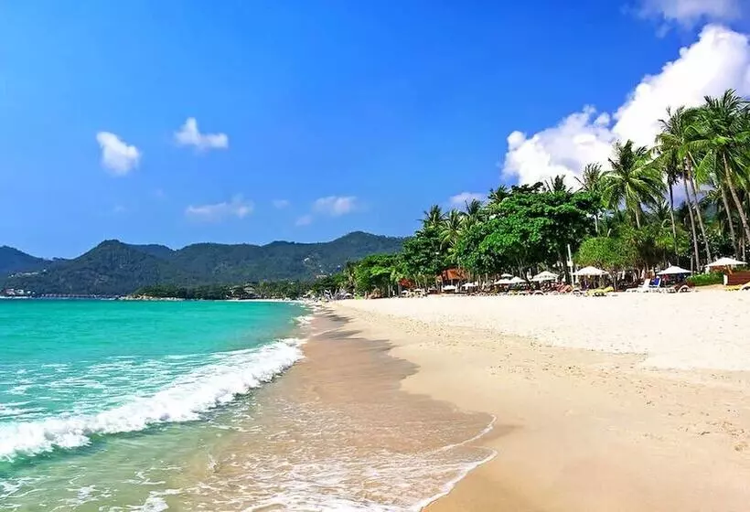 هتل Lotus Friendly