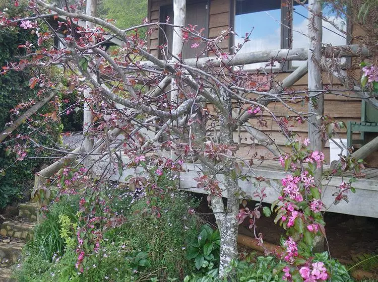 Отель Mole Creek Cabins