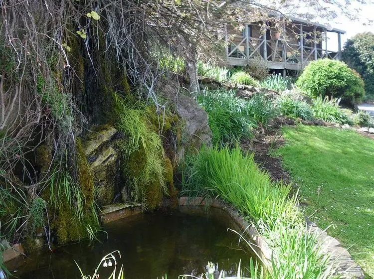 Отель Mole Creek Cabins