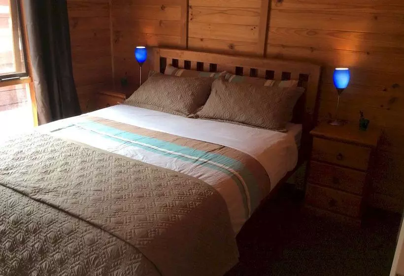 Отель Mole Creek Cabins