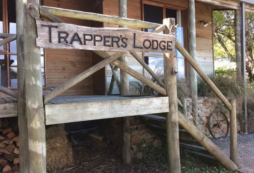 Отель Mole Creek Cabins