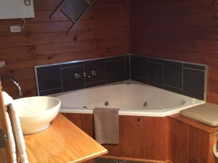 Отель Mole Creek Cabins