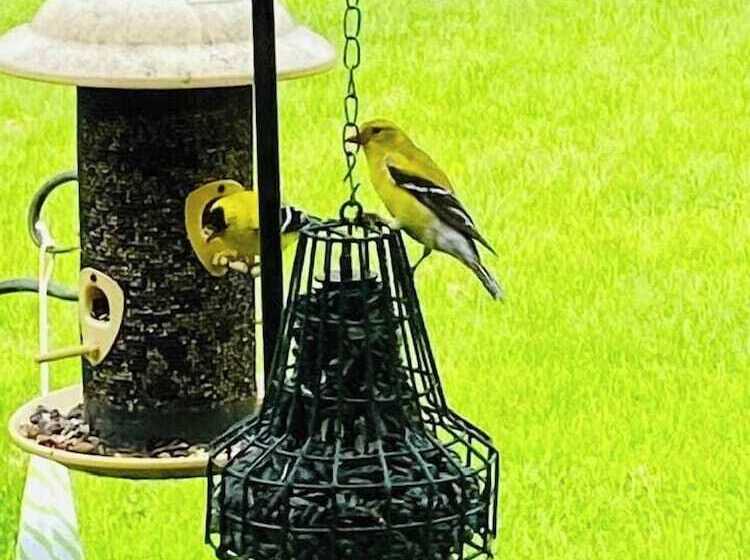 ベッドアンドブレックファースト The Sanctuary On Huron River