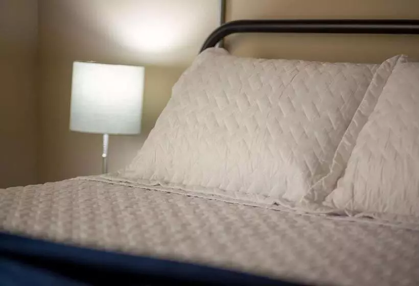 مسافرخانه Gorgeous Guesthouse Near Amazing Downtown