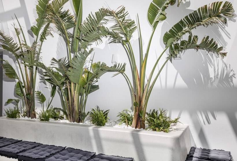 בית מלון כפרי Alenor City