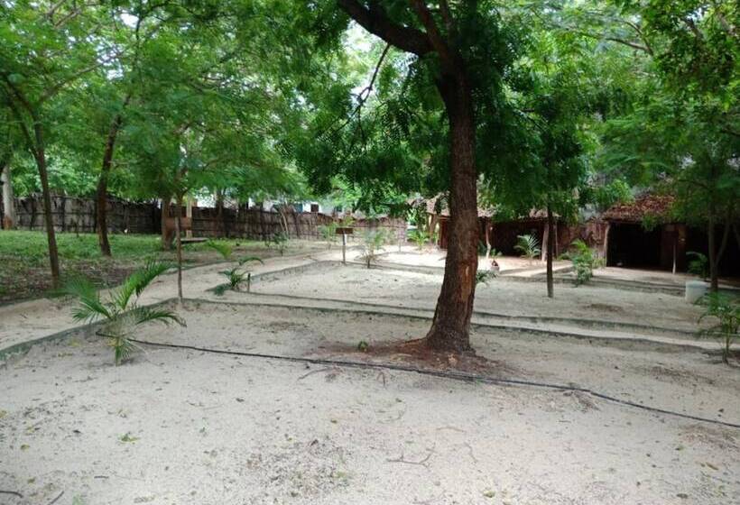 هتل Soul Breeze Beach Resort