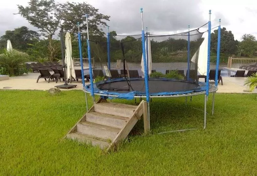 هتل The Farmington