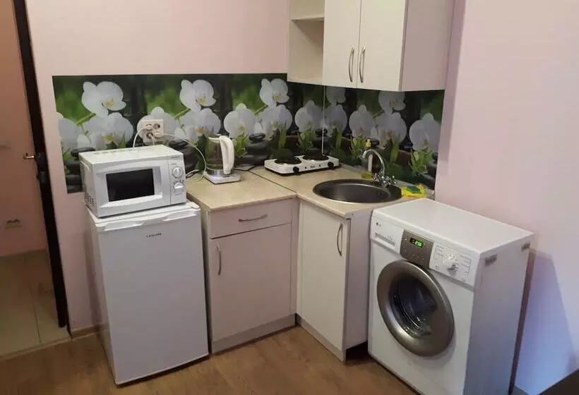 ペンション Gostevoj Dom Domashnij