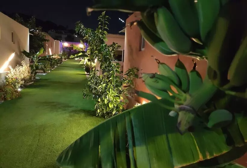 پانسیون Modular Bungalows With Heated Pool Artemis Greece