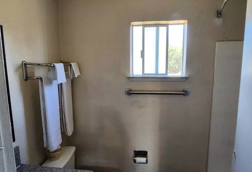 Vince S Motel Inc