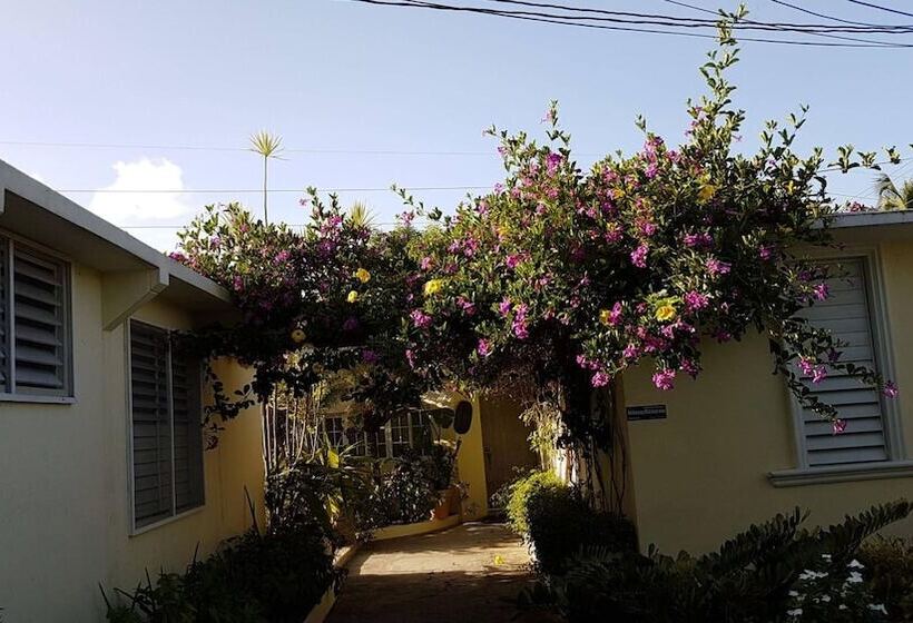 تختخواب و صبحانه Kingston Cottage