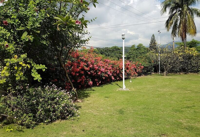 تختخواب و صبحانه Kingston Cottage