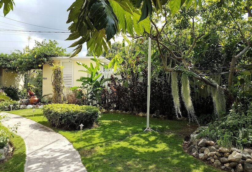 تختخواب و صبحانه Kingston Cottage