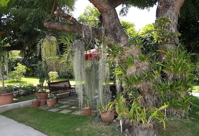 تختخواب و صبحانه Kingston Cottage