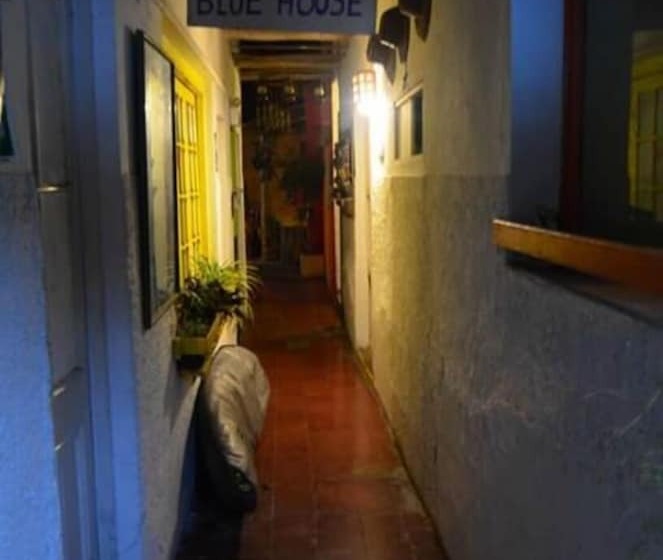 Blue House Backpackers Hostel