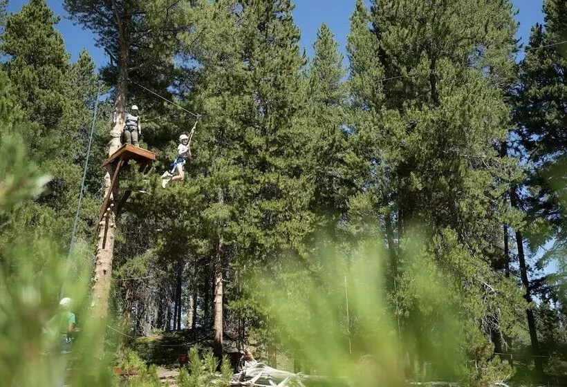 Cozy Pet Friendly King Studio In Mt. Crested Butte Condo   No Cleaning Fee! By Redawning