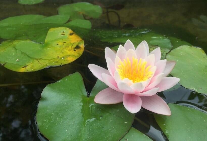 هتل Arthaus Beirut