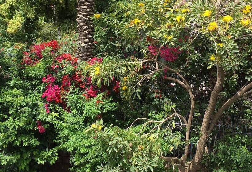 هتل Arthaus Beirut