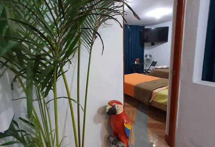 Lima Airport Hostel