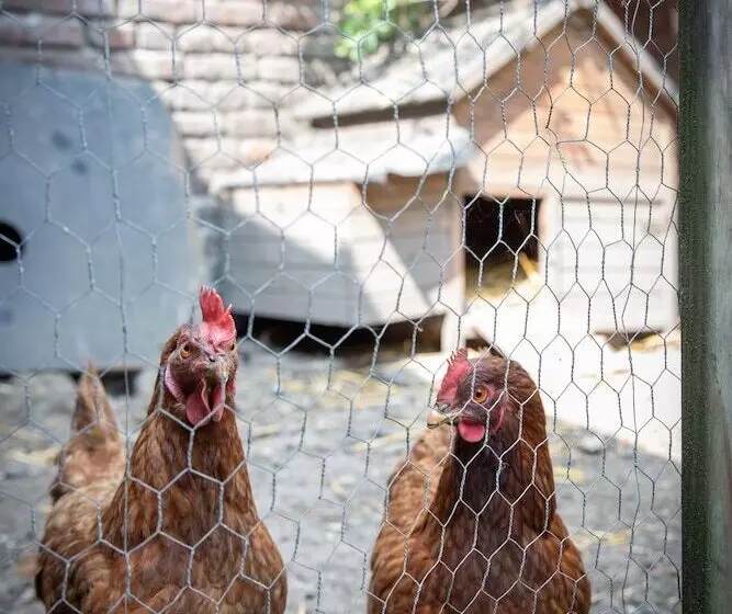 Majatalo Maison Du Jardin Botanique