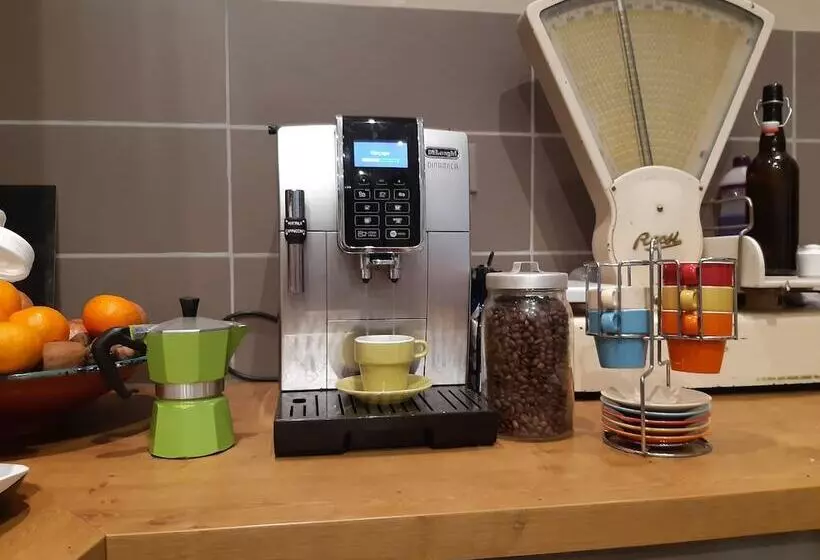 Majatalo Maison Du Jardin Botanique