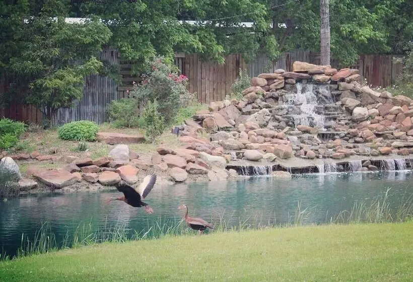 Aamiaismajoitus (B&B) Silver Sycamore