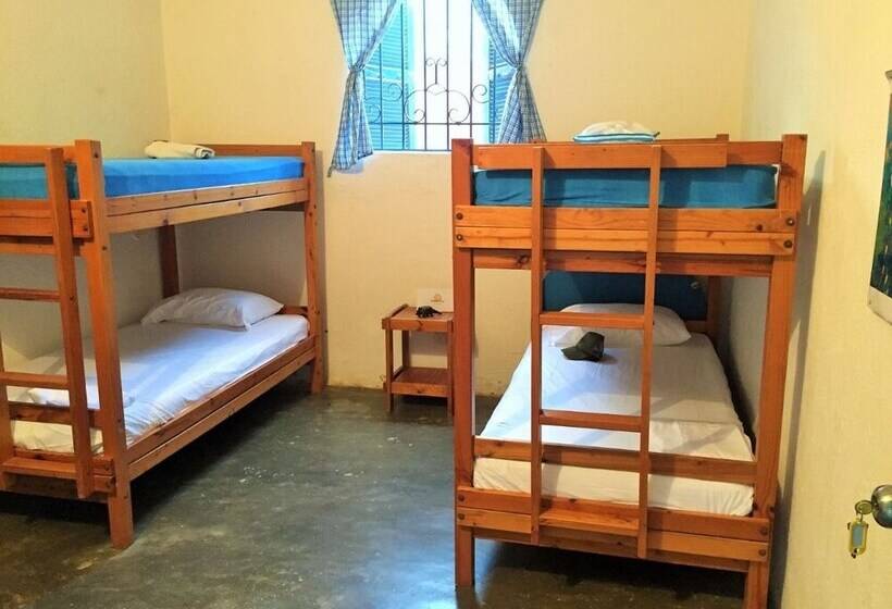 Hostal Hábitat Coral