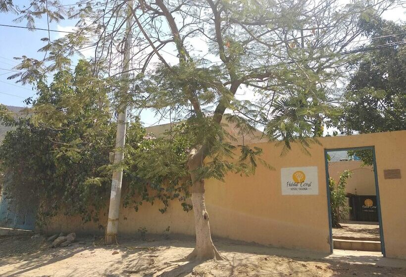 Hostal Hábitat Coral