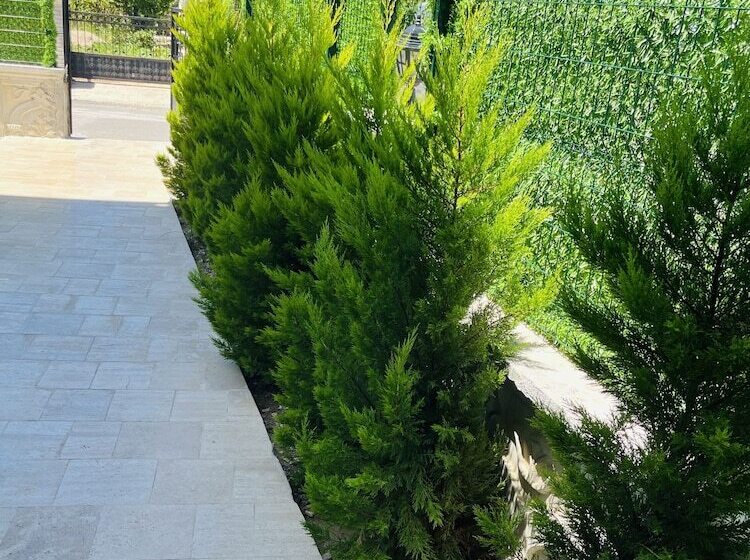 هتل Belek Gold Pansiyon