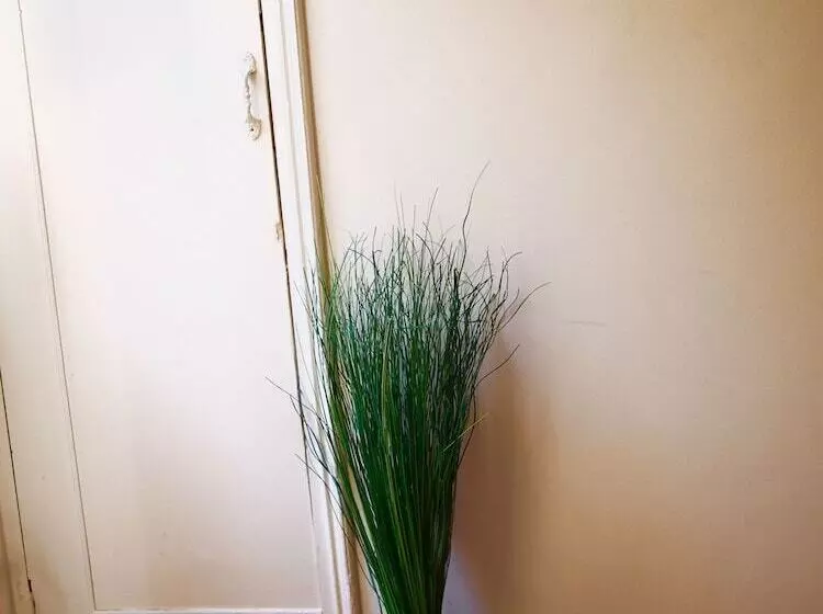 هتل Wasatalbalad Inn