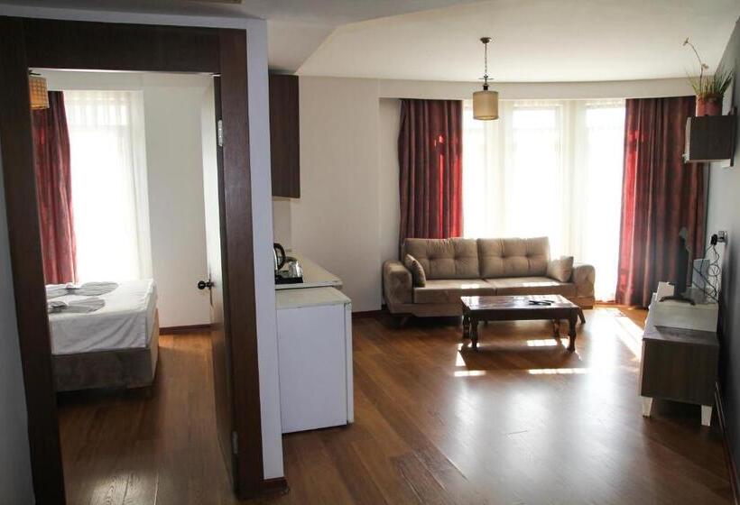 ホテル Eli̇t Sui̇t