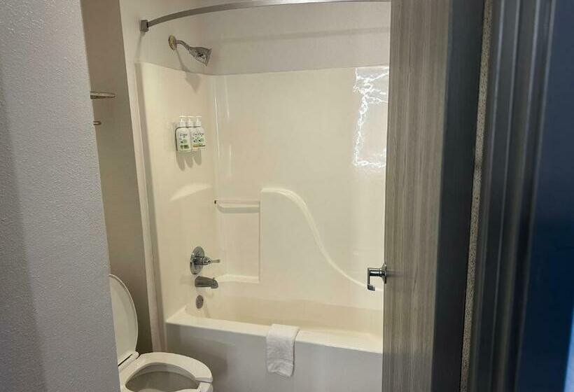 酒店 Wingate By Wyndham Hattiesburg