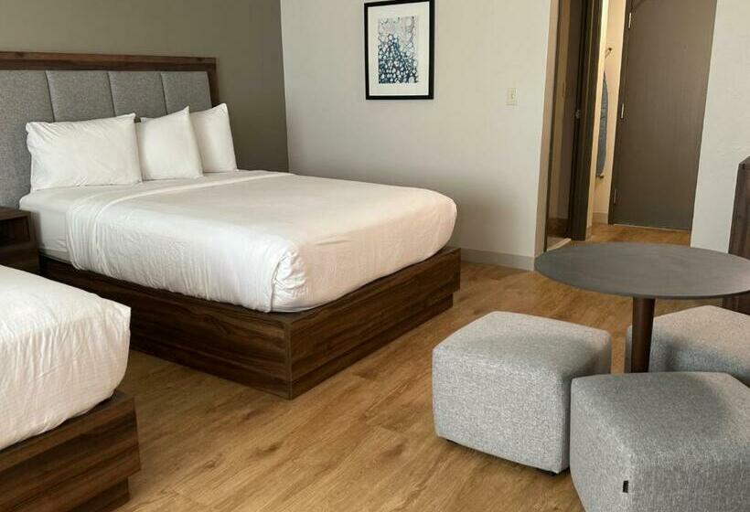 酒店 Wingate By Wyndham Hattiesburg