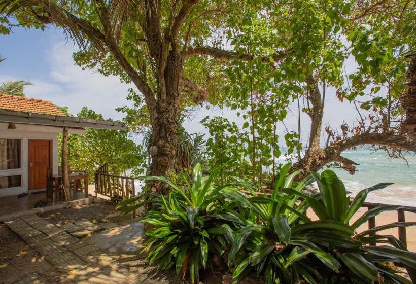 צימר Sea Front Villa