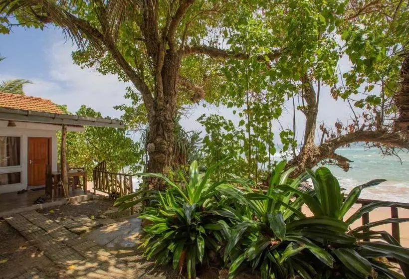 צימר Sea Front Villa