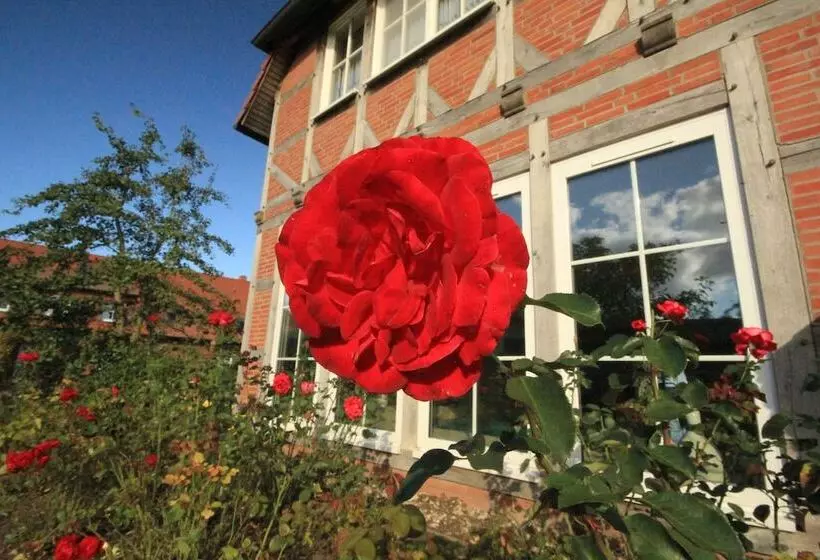 Flair Seehotel Zielow