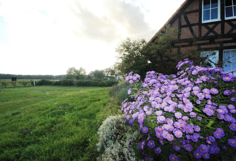 Flair Seehotel Zielow