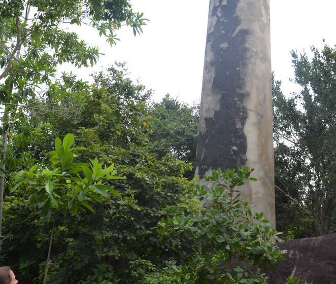 בית מלון כפרי Nature Trails Boutique