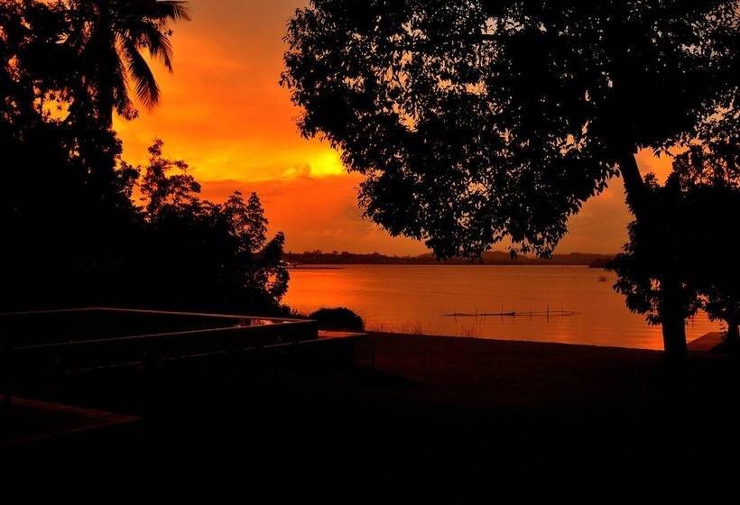 酒店 Roman Lake Ayurveda Resort