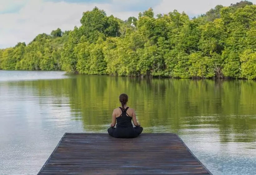 Отель Roman Lake Ayurveda Resort