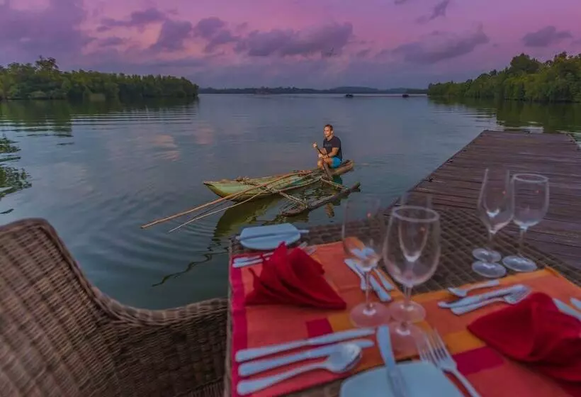 Отель Roman Lake Ayurveda Resort