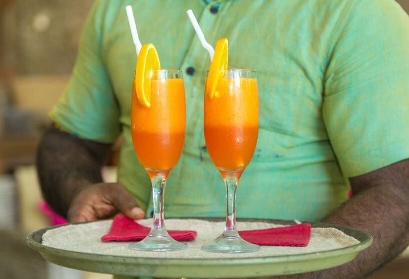 酒店 Roman Lake Ayurveda Resort